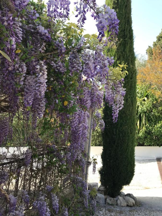 Bastide Nomade - Guest House Сен Пол дьо Ванс Екстериор снимка